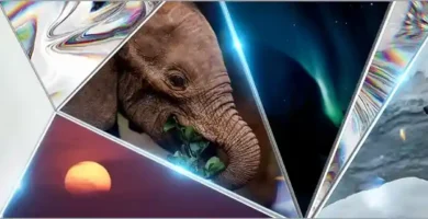 National Geographic 15 national geographic portada