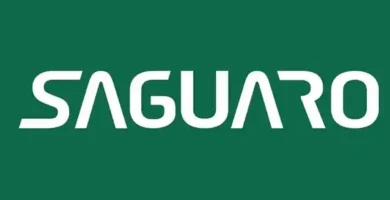 Sanguaro 24 sanguaro portada